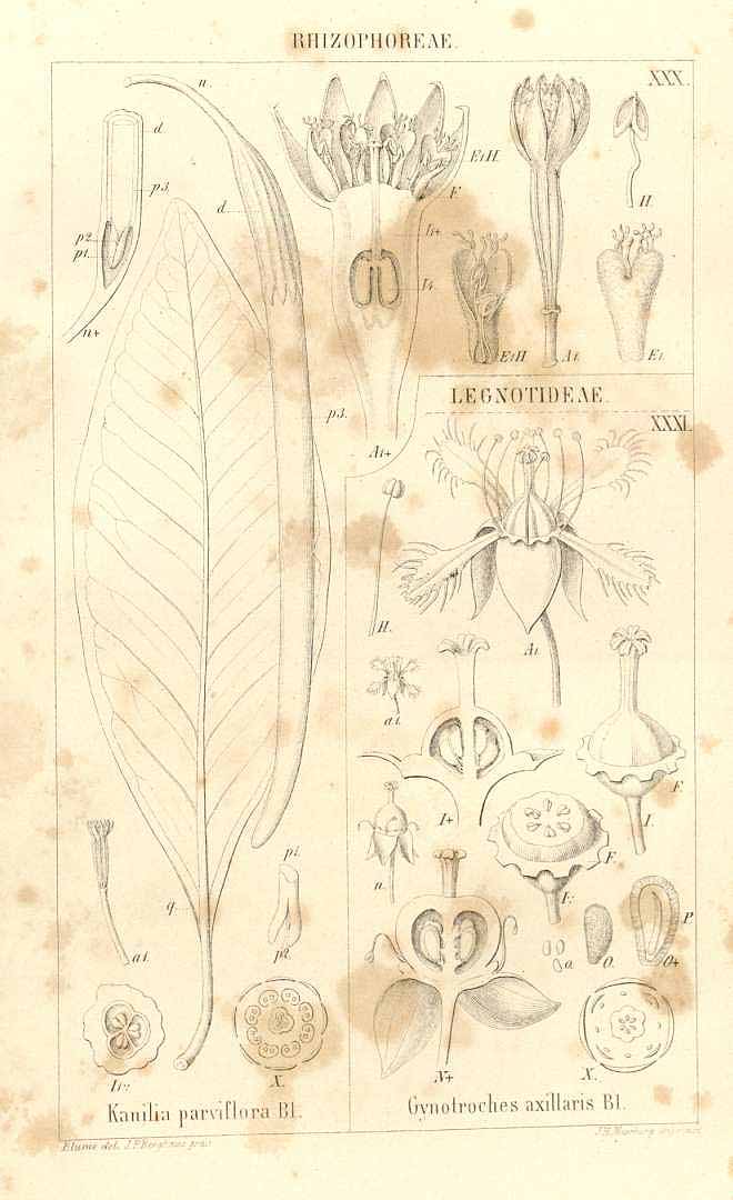 no HD illustration available (m5)