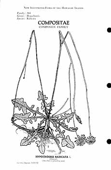 no HD illustration available (m5)