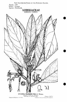 no HD illustration available (m5)
