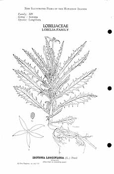 no HD illustration available (m5)