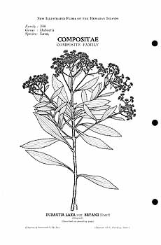 no HD illustration available (m5)