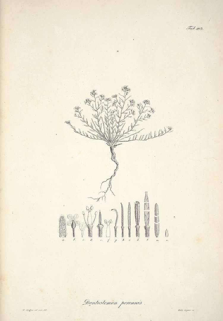no HD illustration available (m5)