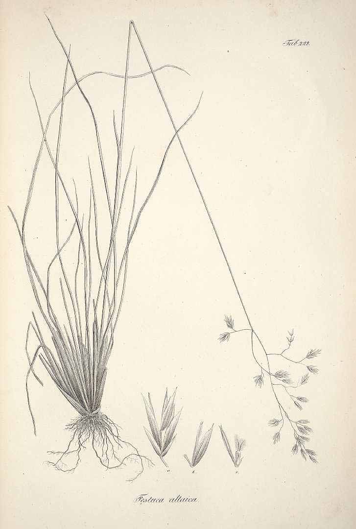 no HD illustration available (m5)