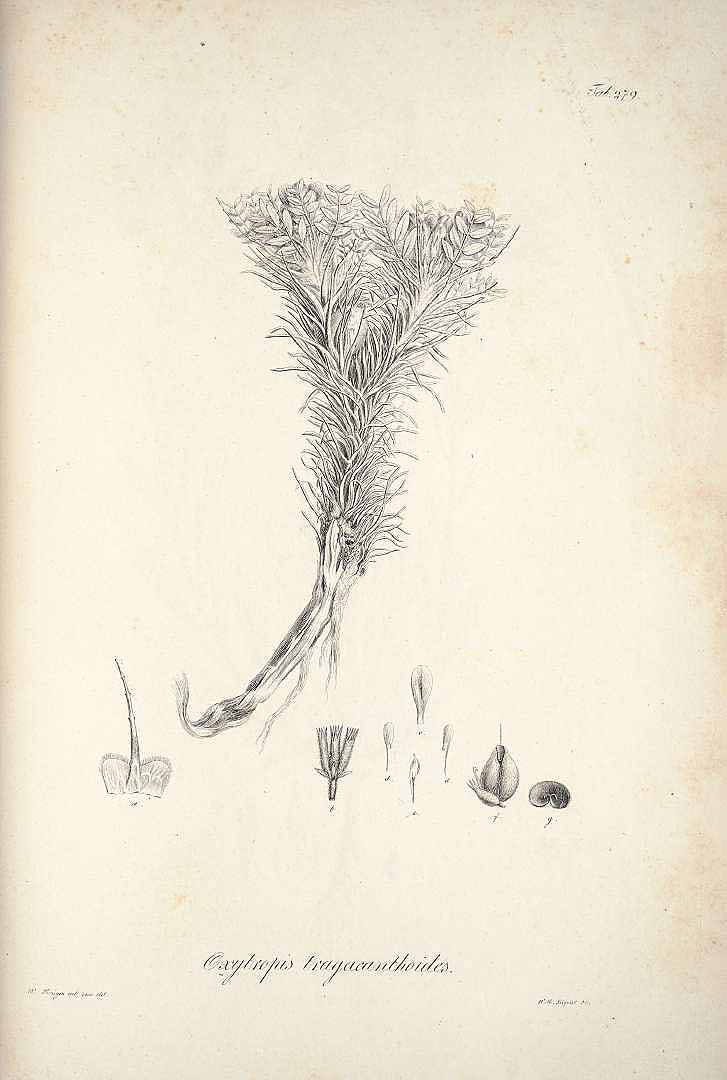 no HD illustration available (m5)