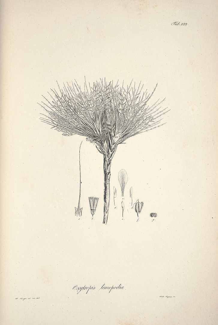 no HD illustration available (m5)