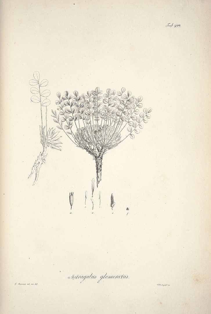 no HD illustration available (m5)