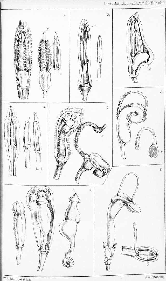 no HD illustration available (m5)