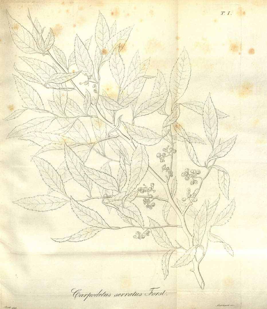 no HD illustration available (m4)