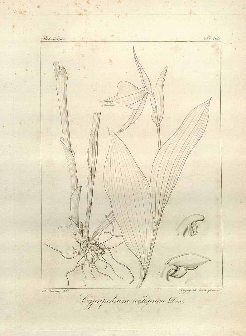 no HD illustration available (m5)