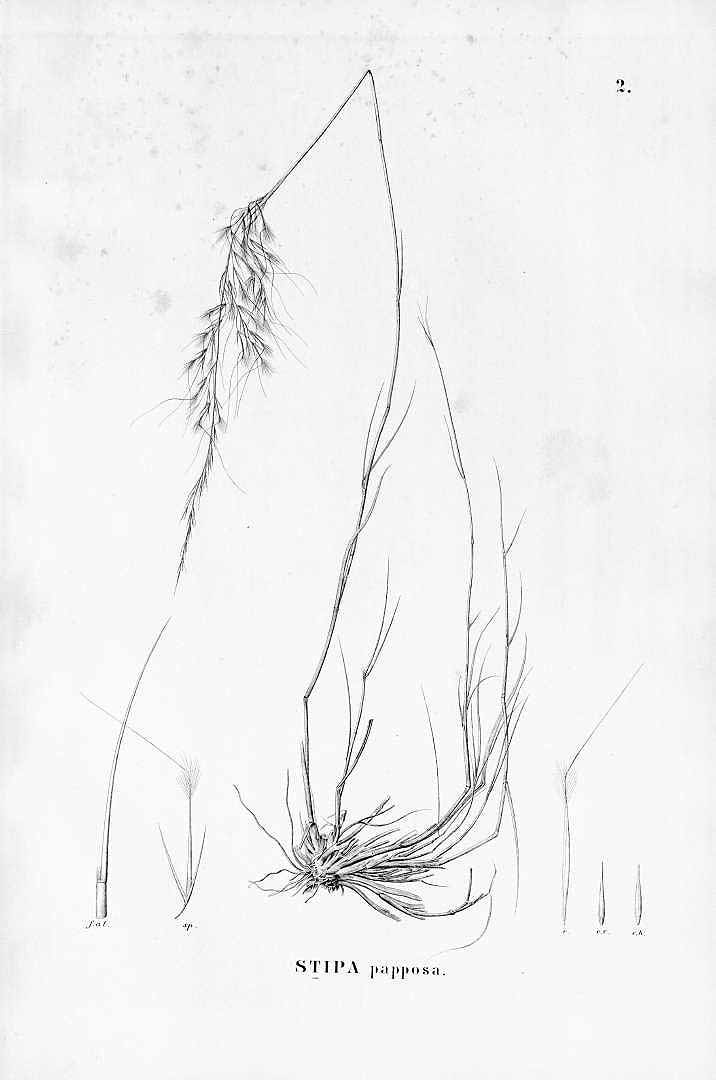 no HD illustration available (m5)