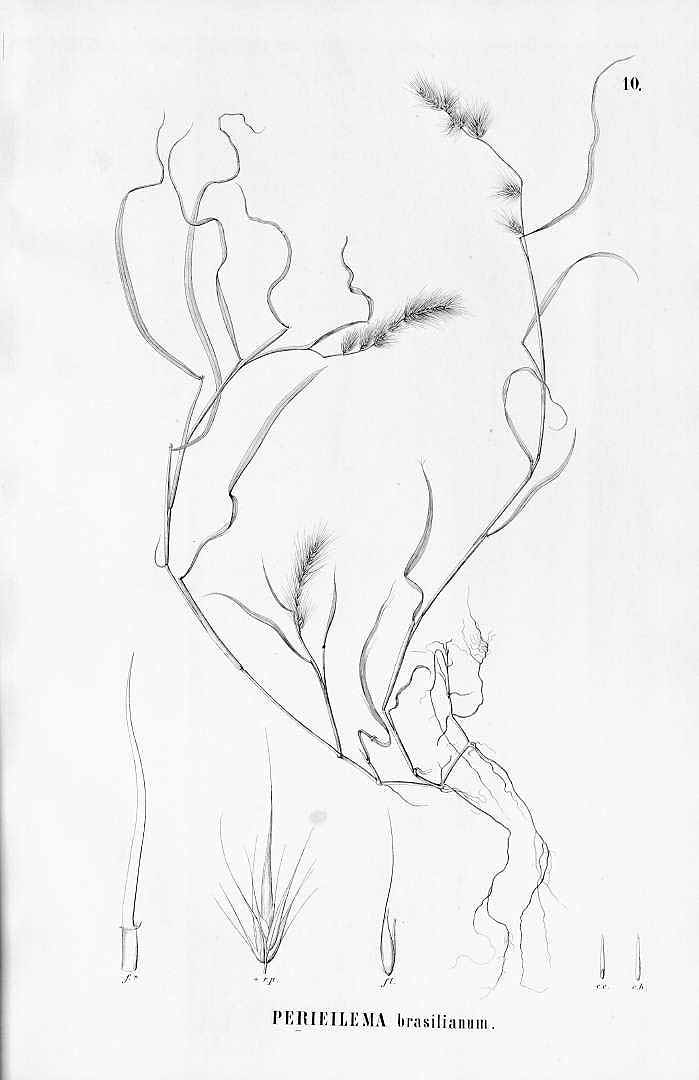 no HD illustration available (m5)