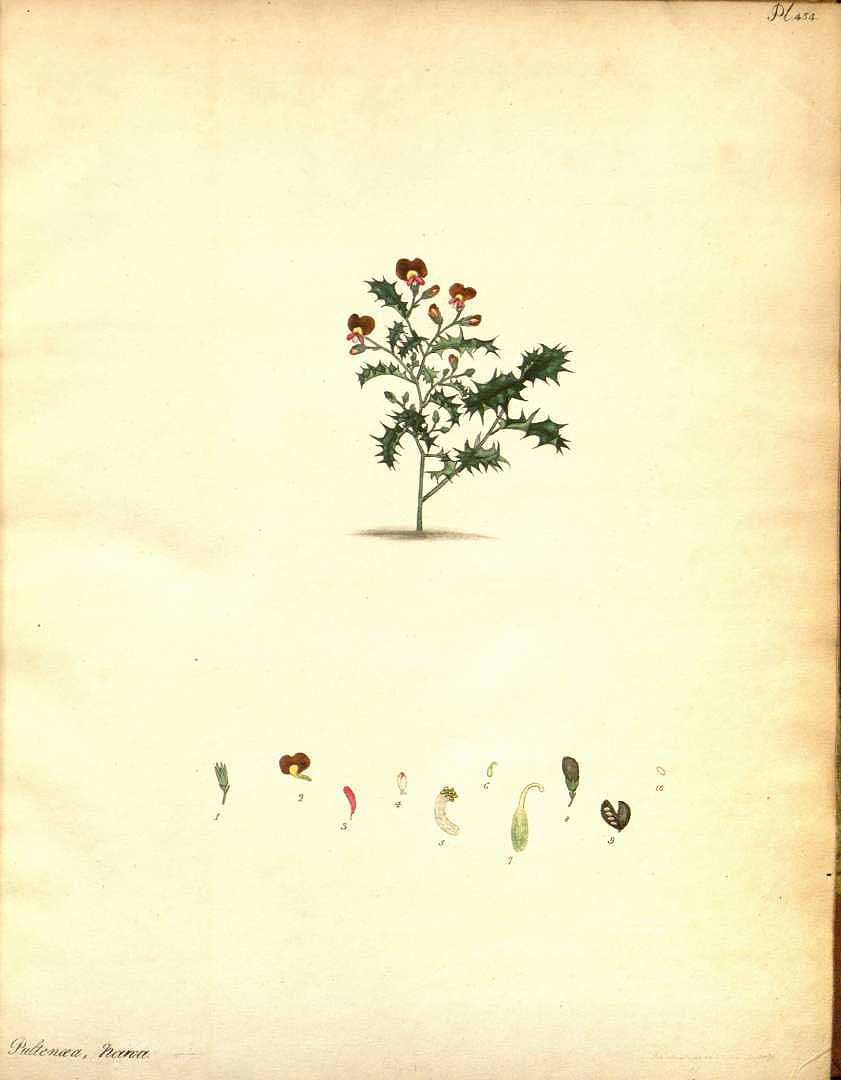 no HD illustration available (m5)