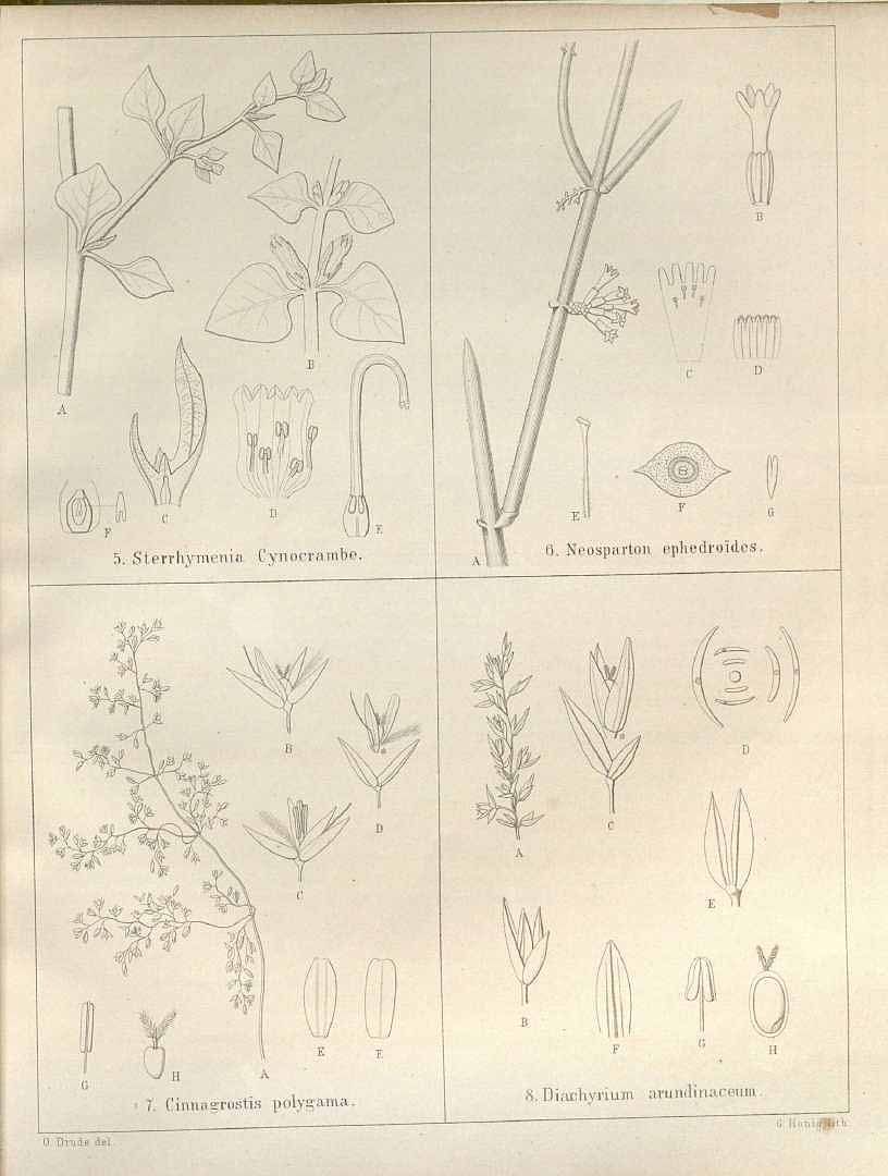no HD illustration available (m5)