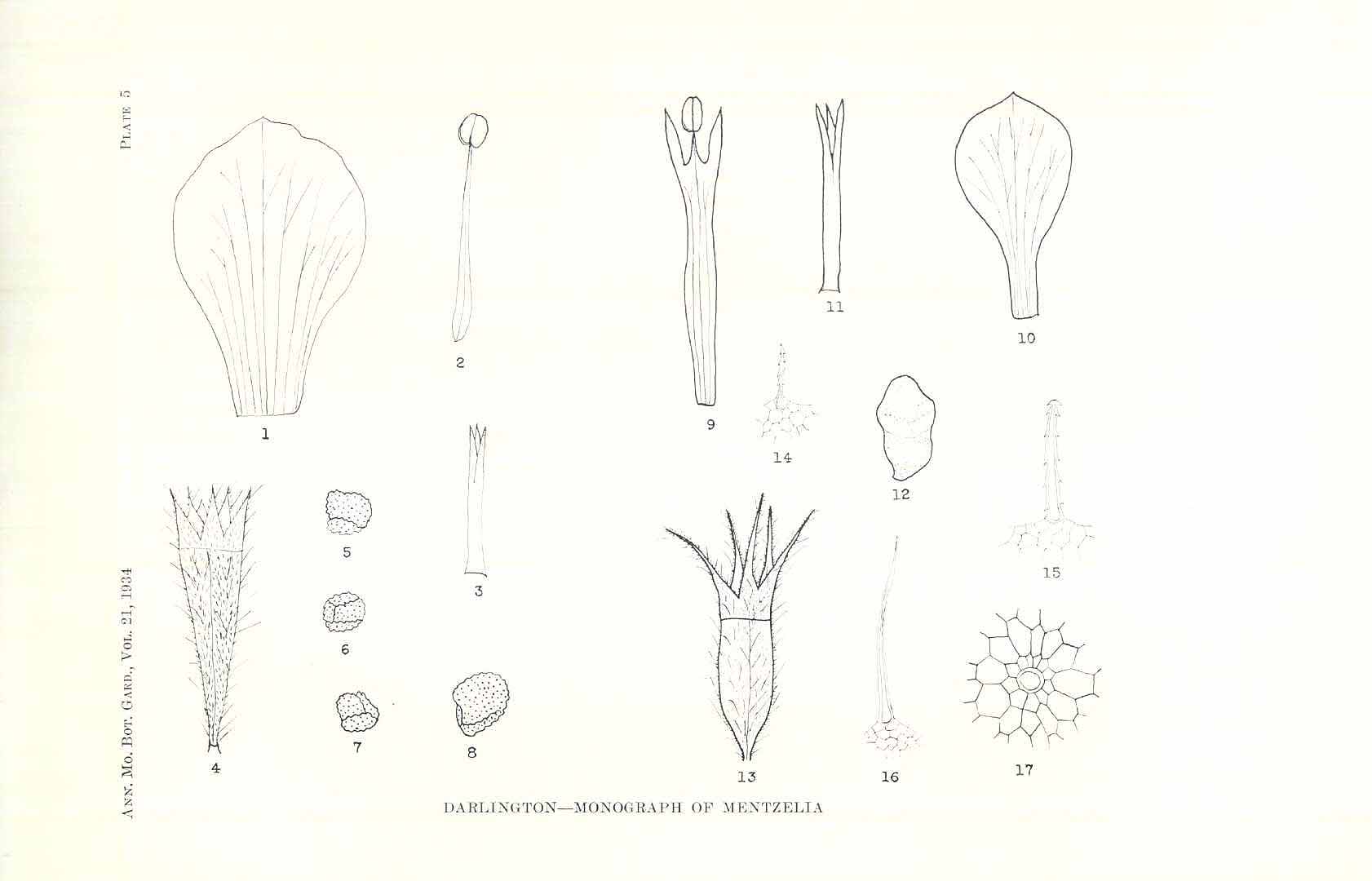 no HD illustration available (m5)