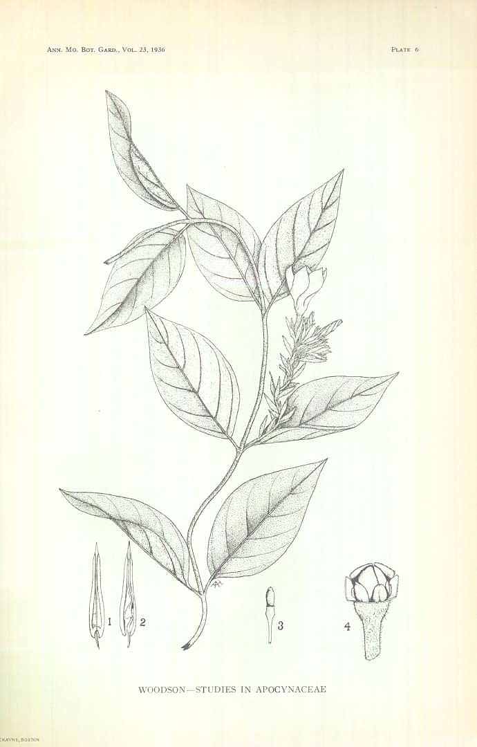 no HD illustration available (m5)