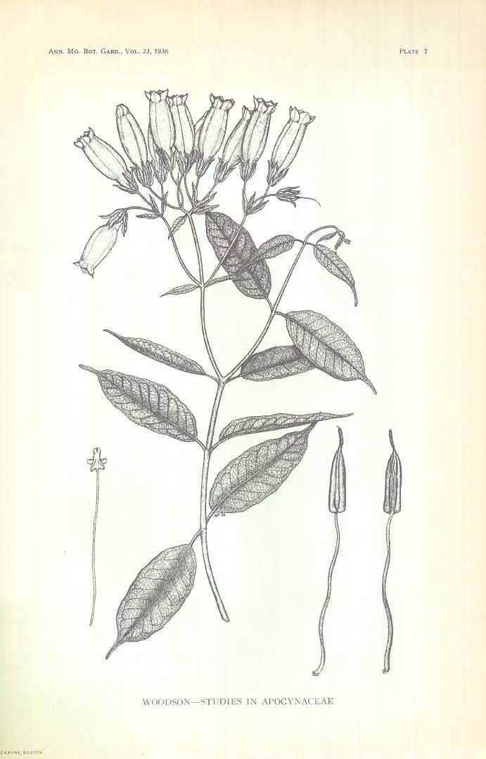 no HD illustration available (m5)