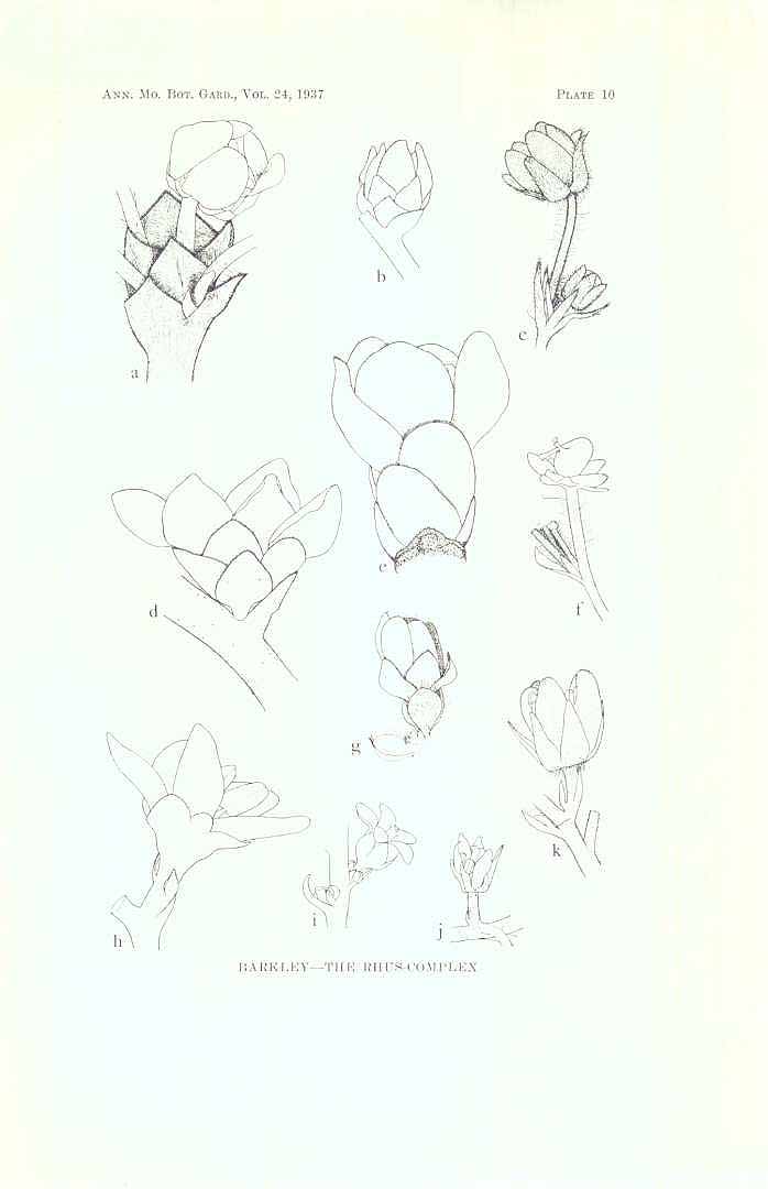no HD illustration available (m5)