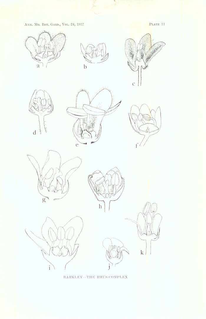 no HD illustration available (m5)