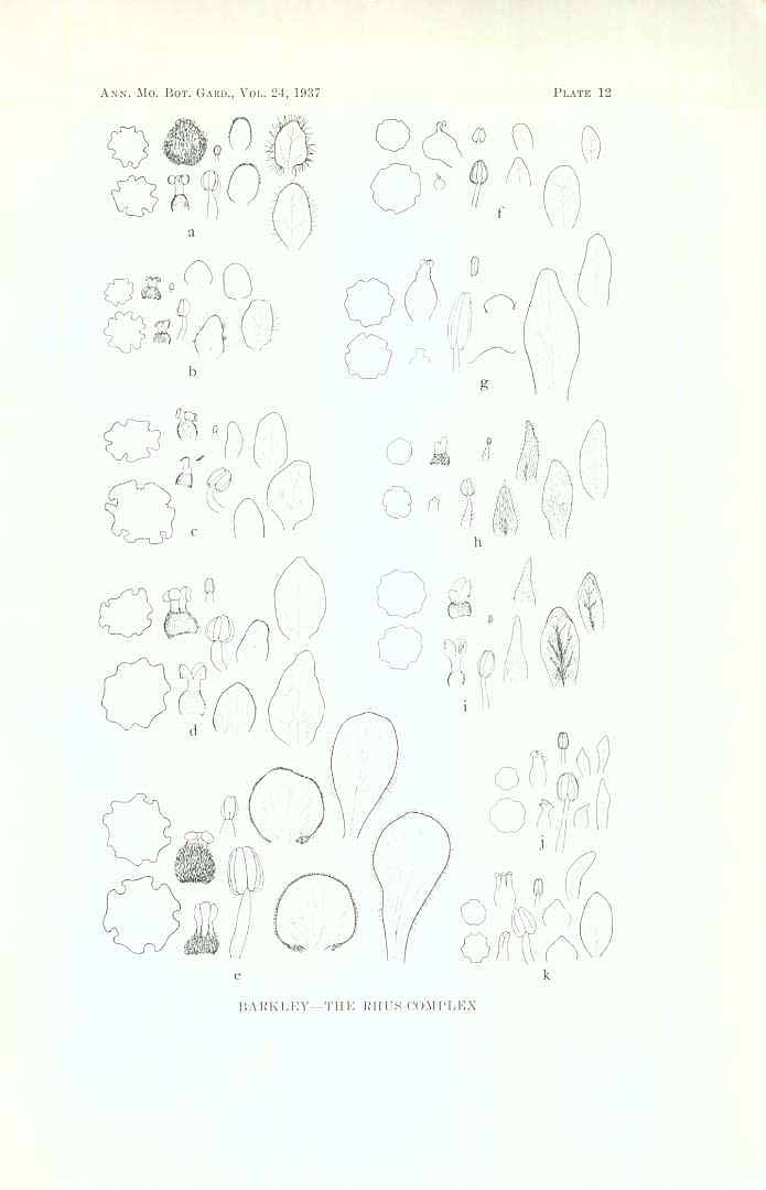 no HD illustration available (m5)