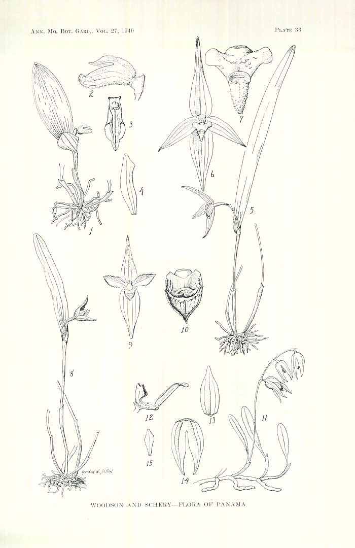 no HD illustration available (m5)