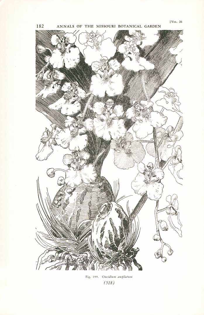 no HD illustration available (m5)