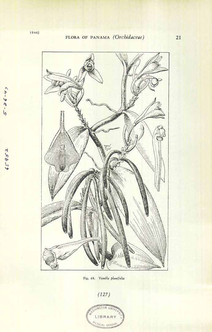no HD illustration available (m5)