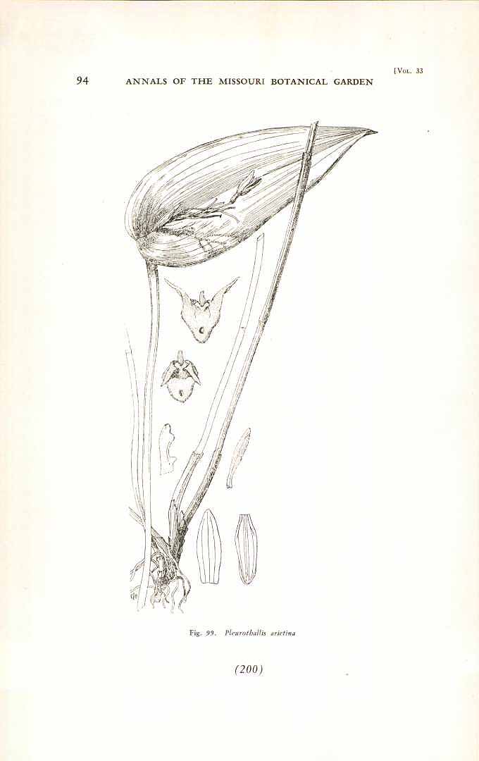 no HD illustration available (m5)