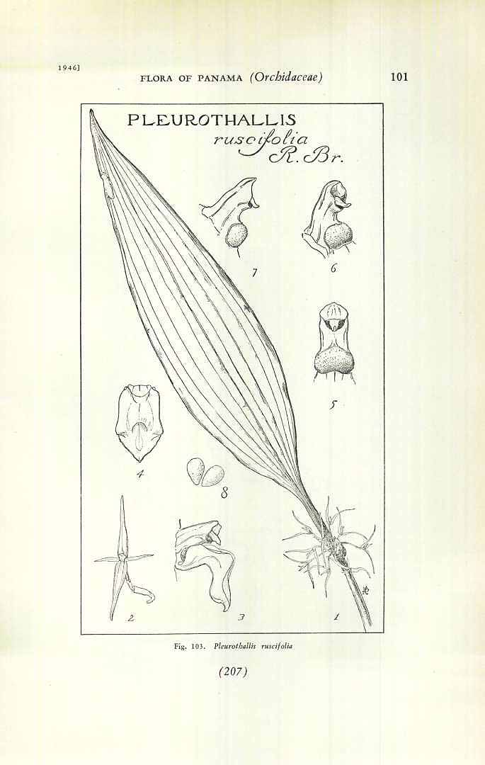 no HD illustration available (m5)