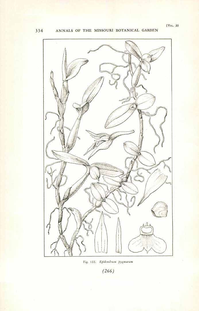 no HD illustration available (m5)