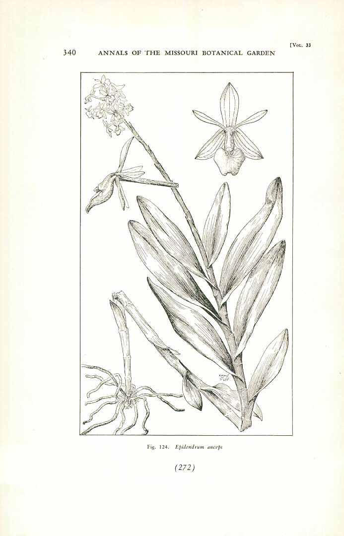 no HD illustration available (m5)