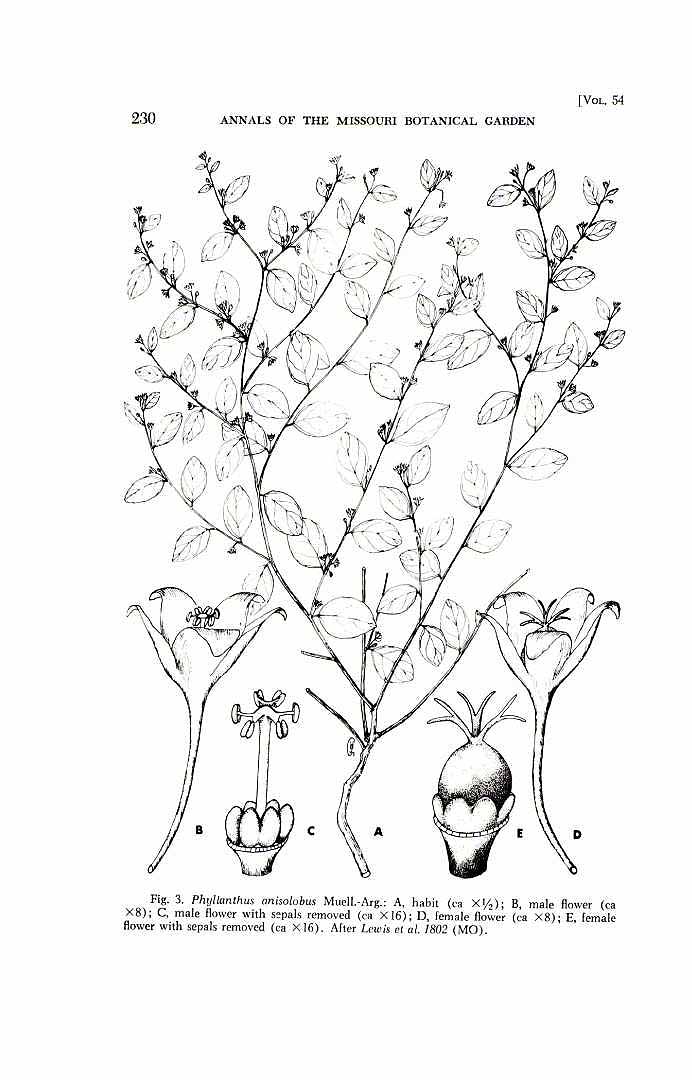 no HD illustration available (m5)