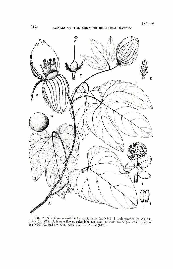 no HD illustration available (m5)