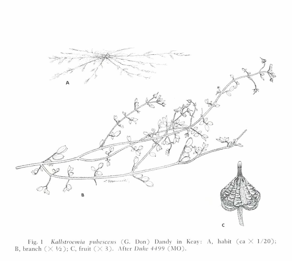 no HD illustration available (m5)