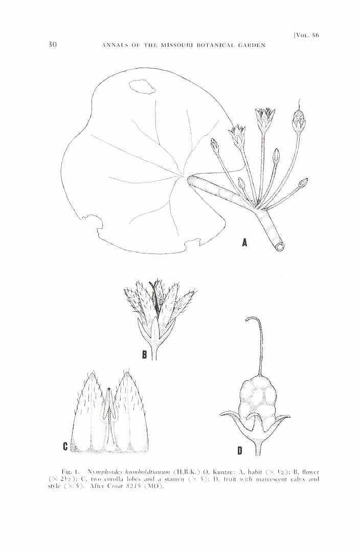 no HD illustration available (m5)