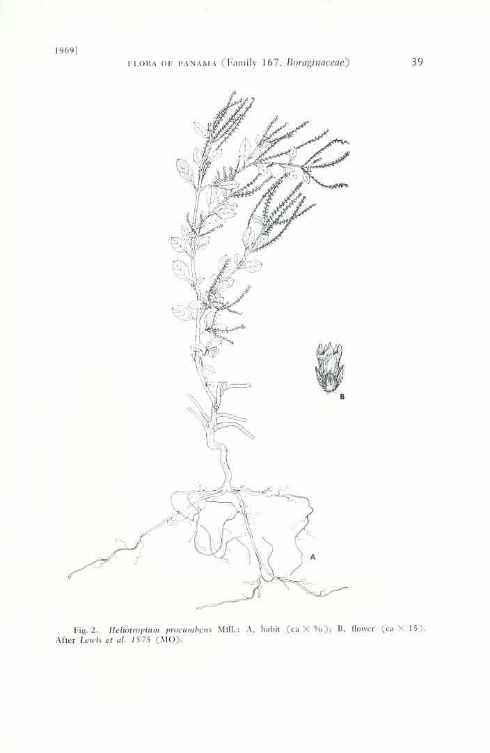 no HD illustration available (m5)