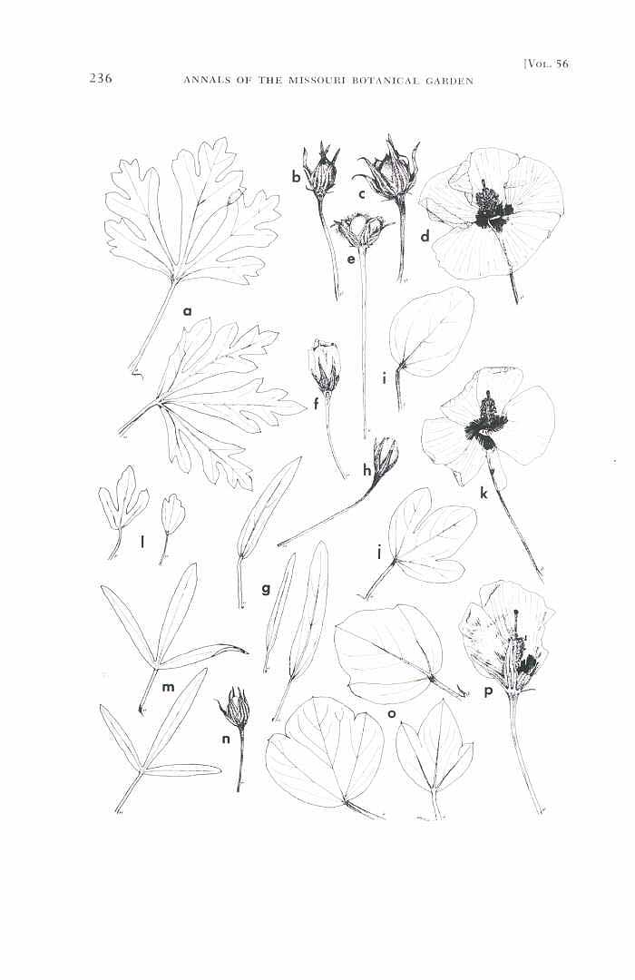no HD illustration available (m5)