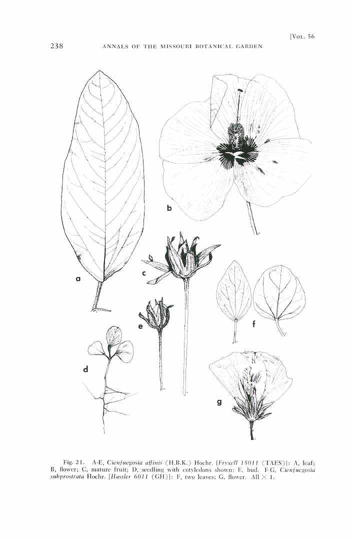 no HD illustration available (m5)