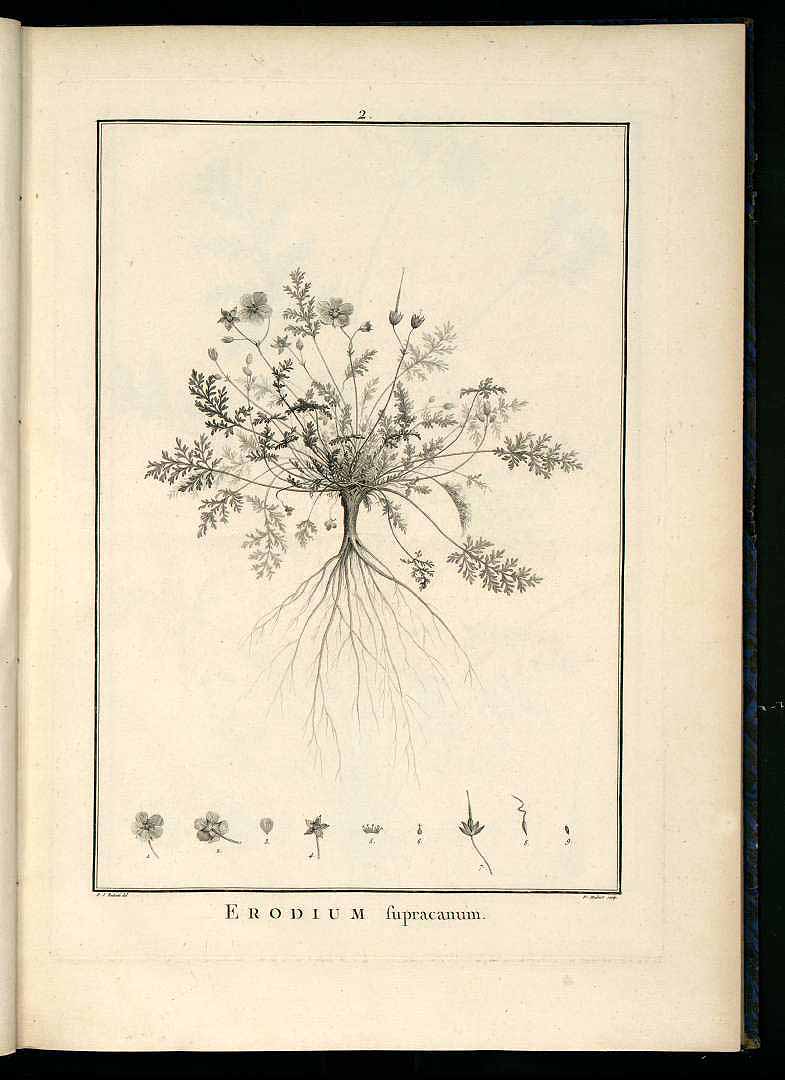 no HD illustration available (m5)