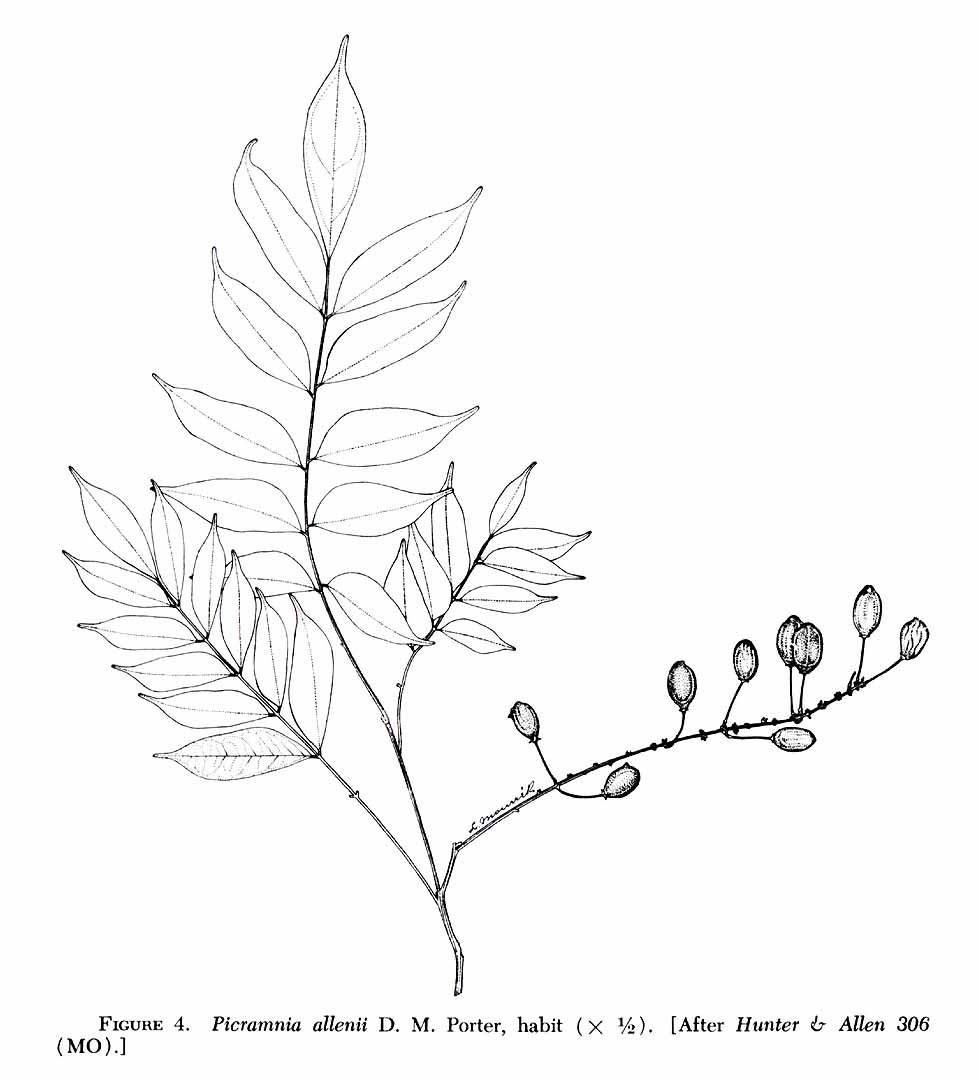 no HD illustration available (m4)
