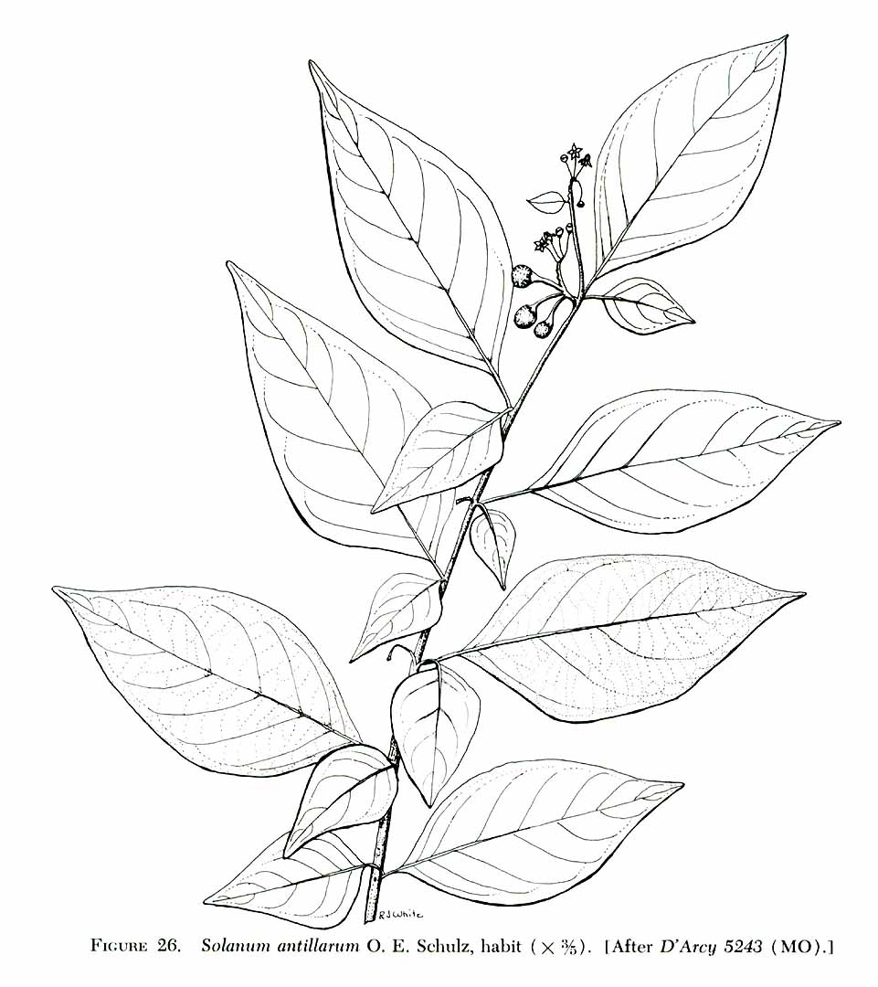 no HD illustration available (m4)