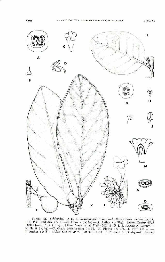 no HD illustration available (m5)