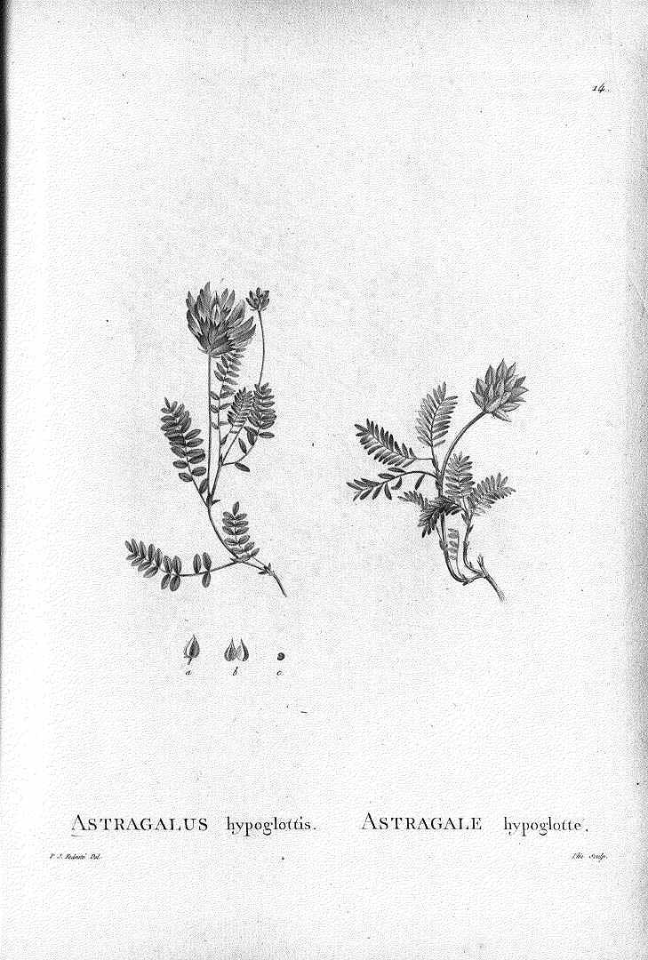 no HD illustration available (m5)