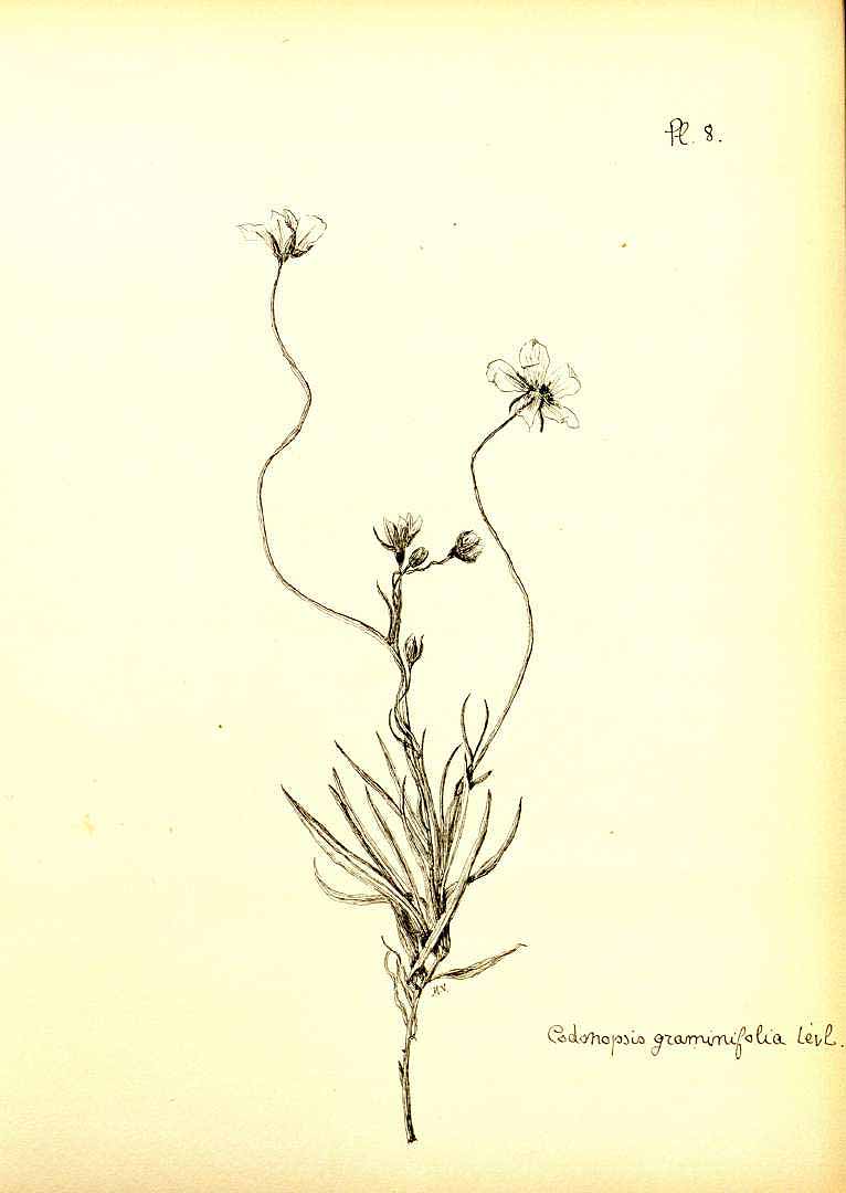 no HD illustration available (m5)