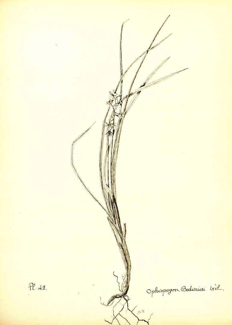 no HD illustration available (m5)
