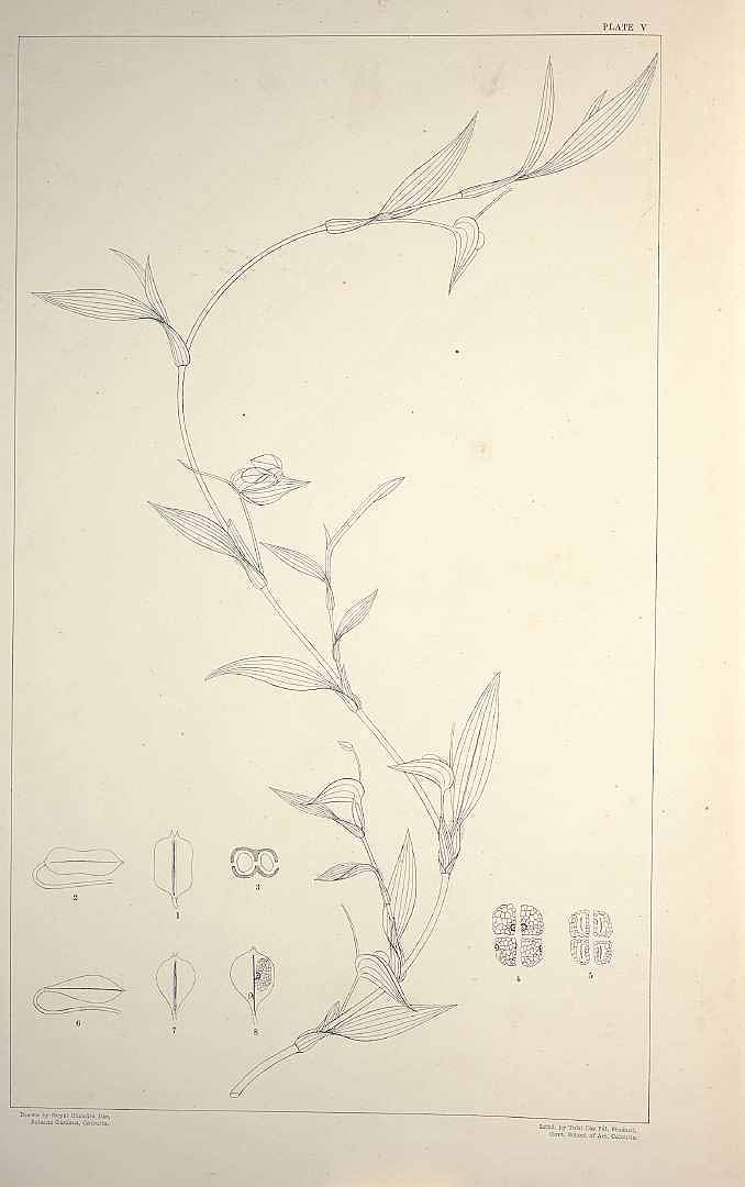 no HD illustration available (m5)