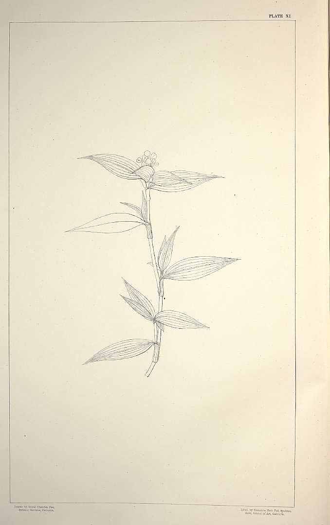 no HD illustration available (m5)