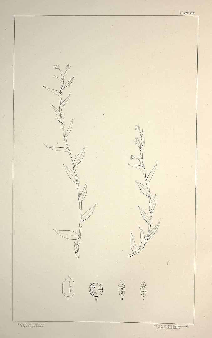 no HD illustration available (m5)
