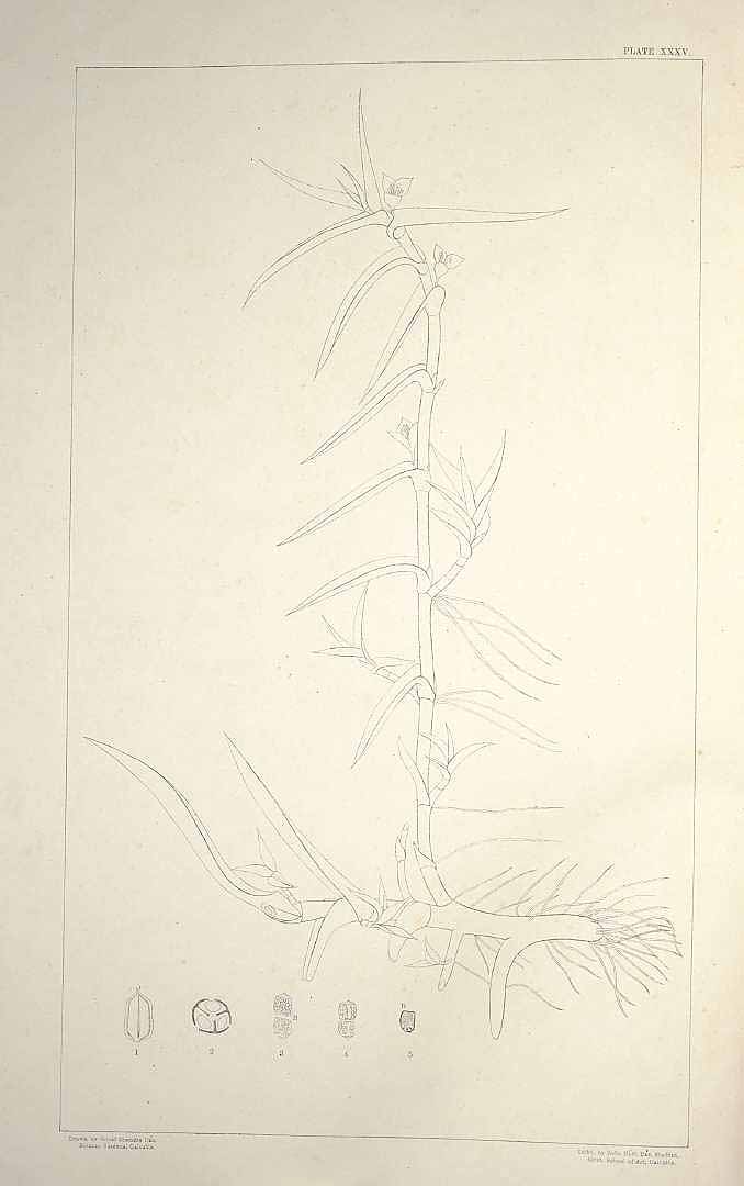 no HD illustration available (m5)