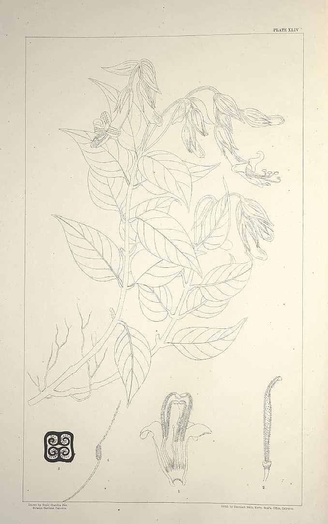 no HD illustration available (m5)