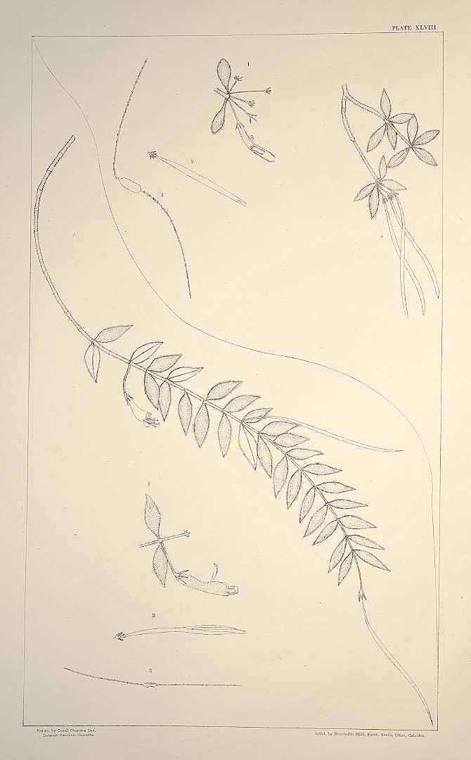 no HD illustration available (m5)